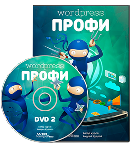 Видеокурс WordPress - Профессионал (Андрей Кудлай, WebForMySelf)