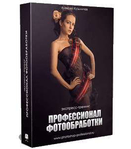 Видеокурс Профессионал фотообработки (Алексей Кузьмичев)