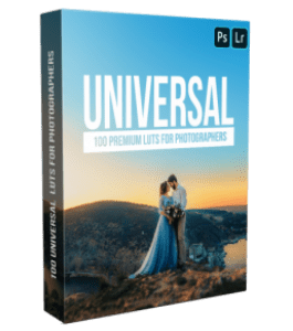Видеокурс Universal LUTs (Алексей Кузьмичев)