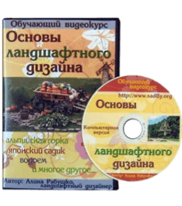 Видеокурс Основы ланшдафтного дизайна (Алина Рабушко)