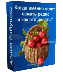 Бесплатный видеоурок Когда именно стоит сажать редис и как это делать (Алина Рабушко)