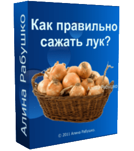 Бесплатный видеоурок Как правильно сажать лук (Алина Рабушко)