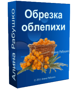 Бесплатный видеоурок Обрезка облепихи (Николай Рабушко)