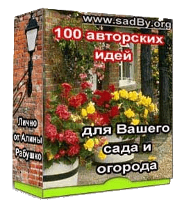 Бесплатный видеокурс 100 идей для Вашего сада и огорода (Алина Рабушко)