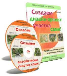 Видеокурс Создаем дизайн-проект участка сами (Алина Рабушко)