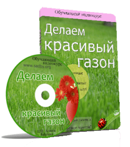 Видеокурс Делаем красивый газон (Алина Рабушко, Николай Рабушко)