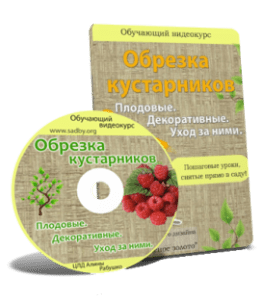 Видеокурс Обрезка кустарников. Плодовые. Декоративные. Уход за ними (Николай Рабушко)