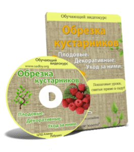 Видеокурс Обрезка кустарников. Плодовые. Декоративные. Уход за ними (Николай Рабушко)