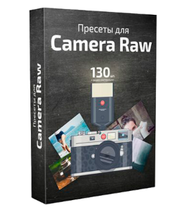 Видеокурс Пресеты для Camera Raw (Максим Басманов)