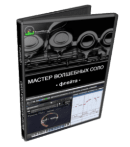 Видеокурс Мастер волшебных соло. Флейта (Роман Борнысов)