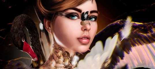 Трансляция 