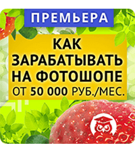 Тренинг Как зарабатывать на PhotoShop от 50 000 руб. в месяц (Александр Коньшин, Издательство Info-DVD)