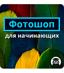 Видеокурс Фотошоп для начинающих (Александр Коньшин, Издательство Info-DVD)