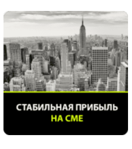 Бесплатный видеокурс Стабильная прибыль на СМЕ (Любовь Зуева, Издательство Info-DVD)