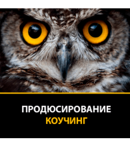 Бесплатный коучинг Продюсирование (Любовь Зуева, Издательство Info-dvd)