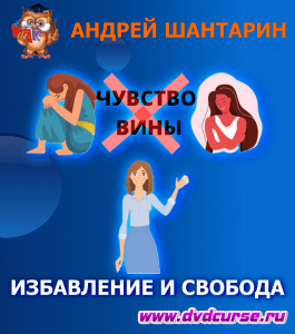 Бесплатный курс Чувство вины. Избавление и свобода (Андрей Шантарин, Издательство Info-dvd)
