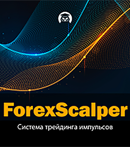 Онлайн - курс ForexScalper. Советник + робот (Евгений Стриж, Издательство Info-DVD)