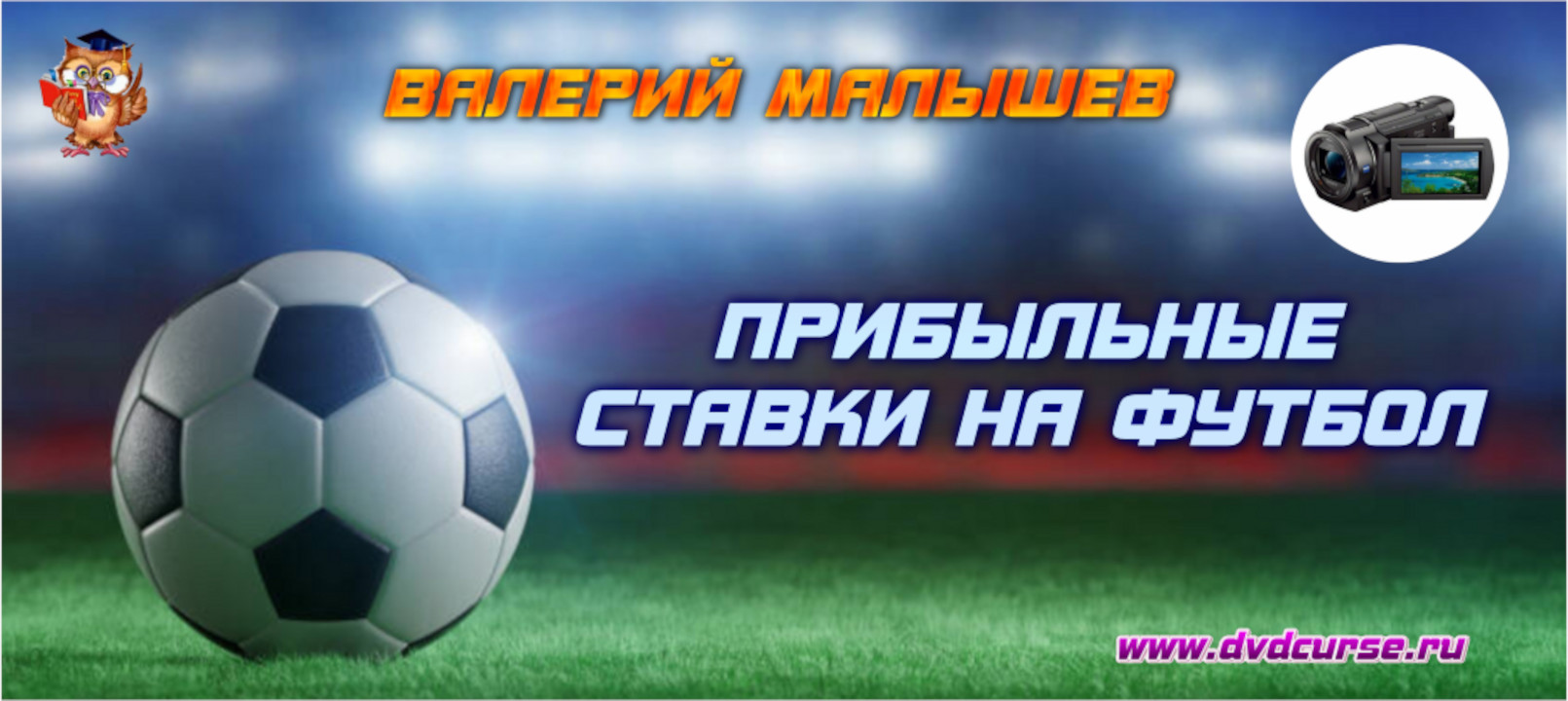 Ставки в спорте. (Валерий Малышев, Павел Высоцкий - Издательство Info-DVD)