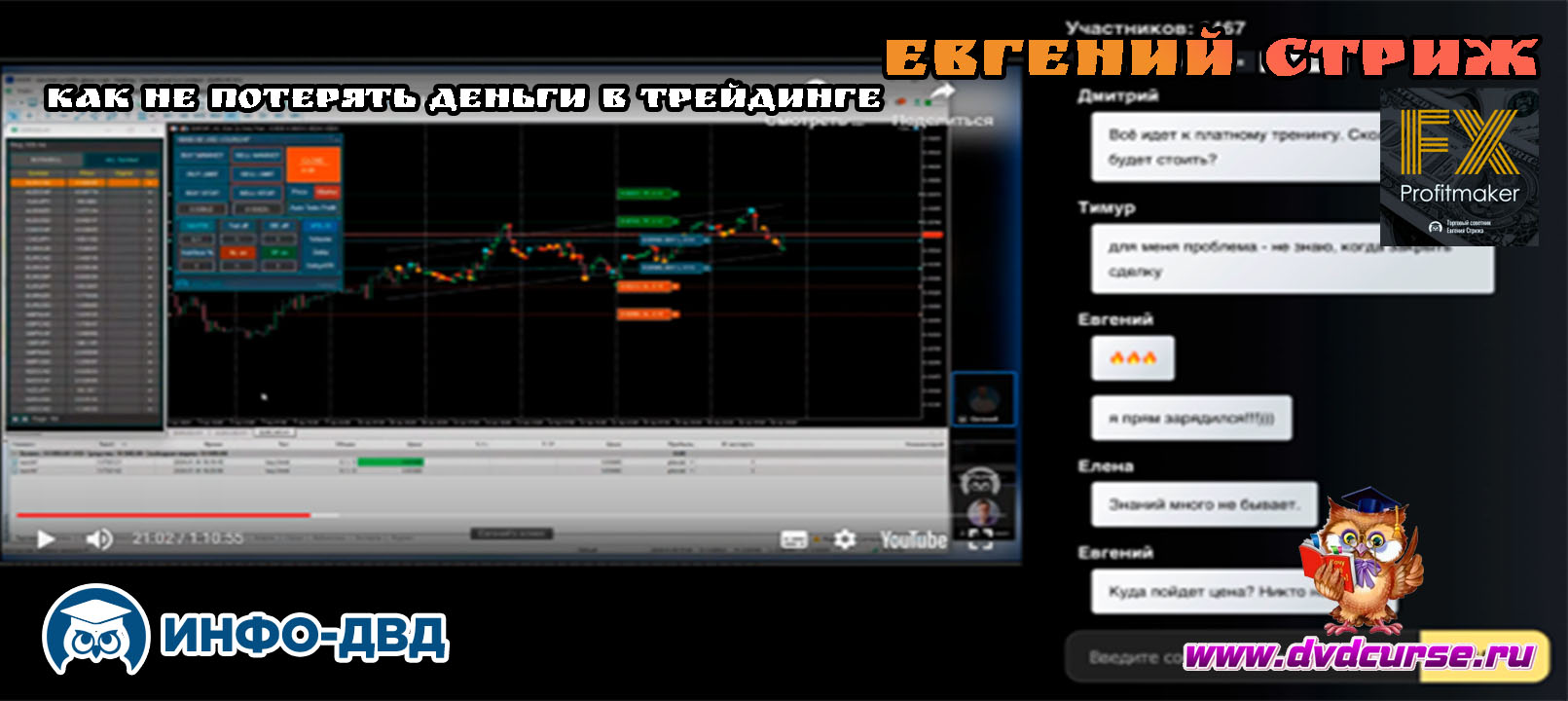 Трансляция Как увидеть идеальный момент для входа - Евгений Стриж, Издательство Info-DVD