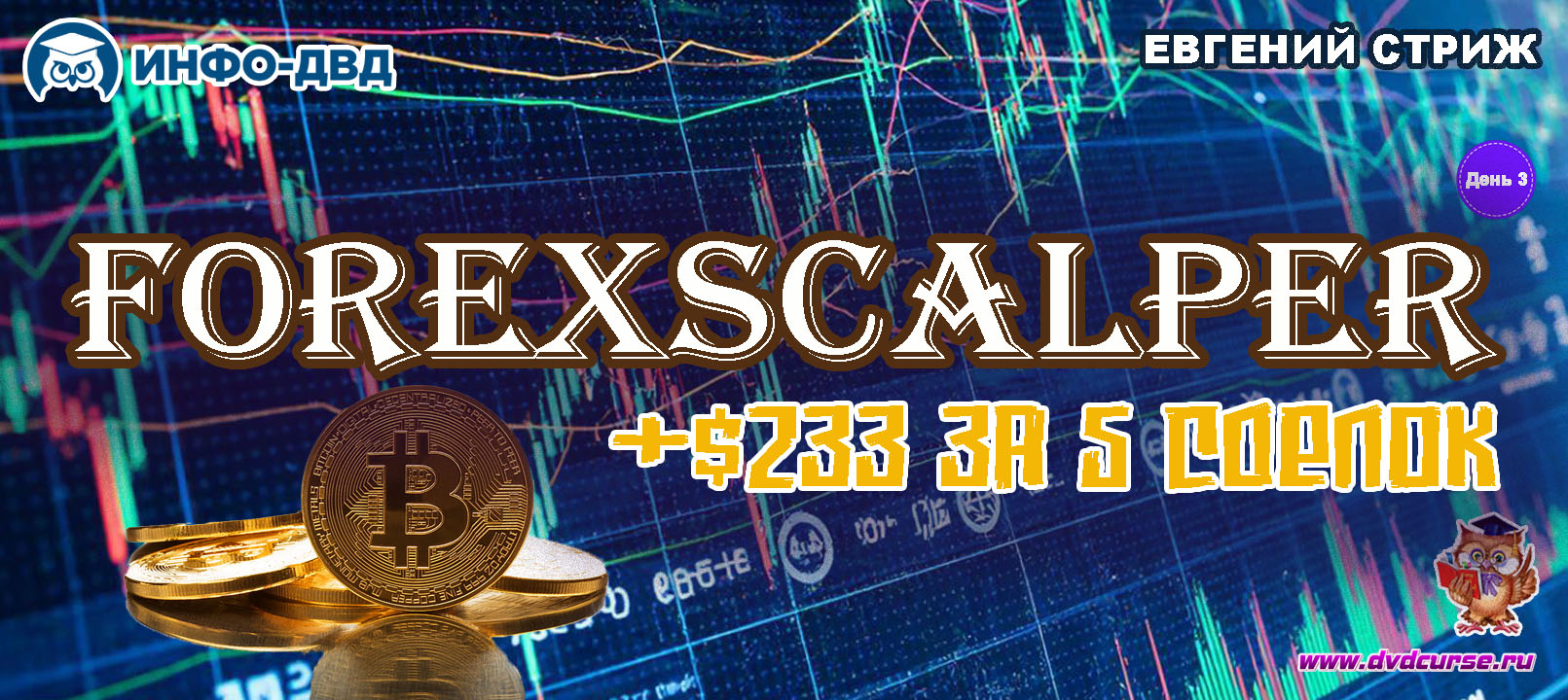Видеозапись ForexScalper. День третий: +$233 за 5 сделок - Евгений Стриж, Издательство Info-DVD