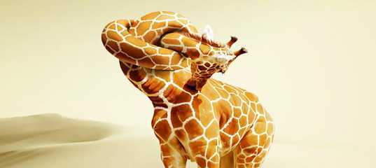 Текстовый урок 