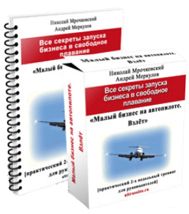 Видеокурс Малый бизнес на автопилоте. Взлет (Николай Мрочковский, Андрей Меркулов)
