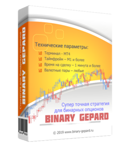 Видеокурс Супер точная торговая стратегия для бинарных опционов Binary Gepard (Александр Новиков)