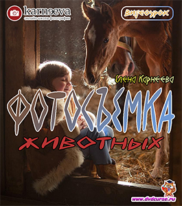Видеоурок Съемка с животными (Елена Карнеева, Школа фотографии Елены Карнеевой)