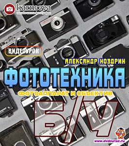 Видеоурок Как выбрать и проверить б/у фотоаппарат и объектив (Александр Ноздрин, Школа Елены Карнеевой)