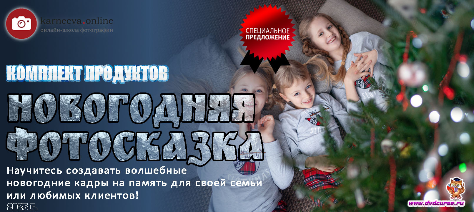 Распродажа Новогодняя фотосказка (Елена Карнеева, Онлайн школа фотографии)
