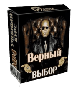 Видеокурс Верный выбор (Иван Полонейчик, Виктор Кирчинко, Издательство Успех)