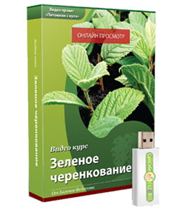 Видеокурс Зеленое черенкование (укоренение зеленых черенков) (Евгений Федотов, Роман Врублевски, Сам себе садовод)