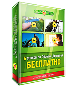 Бесплатный видеокурс Обрезка плодовых деревьев (Евгений Федотов, Роман Врублевски, Сам себе садовод)