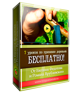 Бесплатный видеокурс Прививка плодовых деревьев (Евгений Федотов, Роман Врублевски, Сам себе садовод)