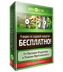 Бесплатный видеокурс Садовая Хирургия (Евгений Федотов, Роман Врублевски, Сам себе садовод)