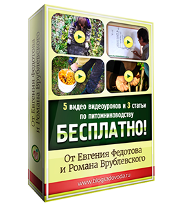 Бесплатный видеокурс Питомниководство (Евгений Федотов, Роман Врублевски, Сам себе садовод)