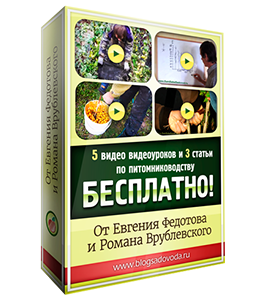 Бесплатный видеокурс Питомниководство (Евгений Федотов, Роман Врублевски, Сам себе садовод)