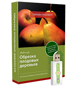 Видеокурс Обрезка плодовых деревьев (Евгений Федотов, Роман Врублевски, Сам себе садовод)