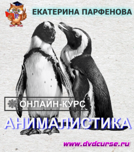 Онлайн - курс Анималистика (Екатерина Парфенова, Школа рисования Арт-Матита)