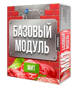 Видеокурс Базовый Модуль годовой программы МИТ (Илья Ситнов, Александр Слободенюк)