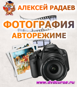 Бесплатный видеокурс Курс по фотографии (Иван Никитин, Алексей Радаев, Проект-Y2M)