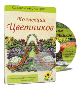 Видеокурс Коллекция цветников (Алина Рабушко)