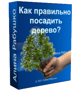 Бесплатный видеоурок Как правильно посадить дерево (Николай Рабушко)