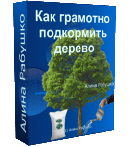 Бесплатный видеоурок Как грамотно подкормить дерево (Николай Рабушко)