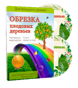 Видеокурс Обрезка плодовых деревьев - 2012 (Николай Рабушко)
