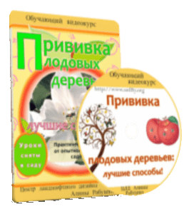 Видеокурс Прививка плодовых деревьев (Николай Рабушко)