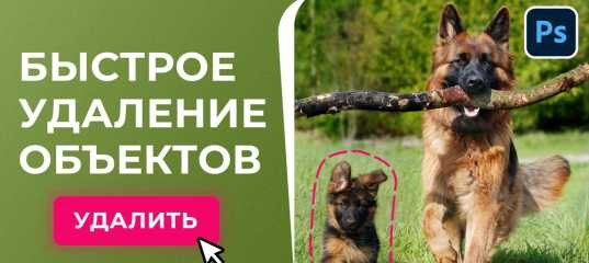 Видеоурок "Как удалить лишние объекты с фотографии в Фотошоп" - Оксана Решетнёва Видеоурок