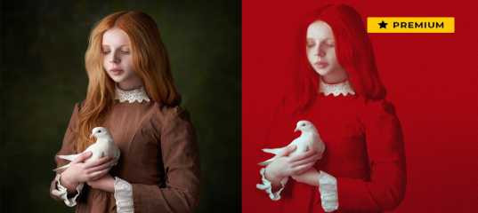 Видеоурок "Красный арт. Портрет с одним цветом" - Анастасия Аникеева Видеоурок