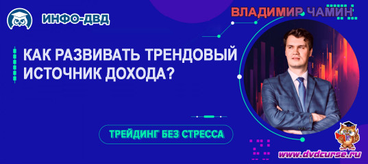 Видеозапись Как развивать трендовый источник дохода - Владимир Чамин, Издательство Info-DVD