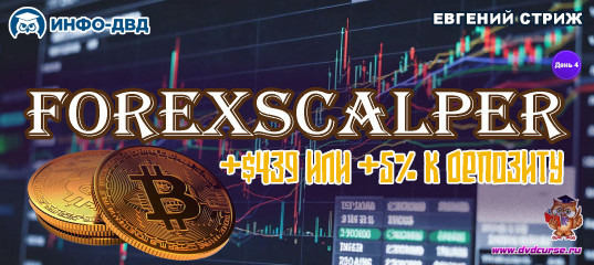 Видеозапись ForexScalper. День четвертый: +$439 или +5% к депозиту - Евгений Стриж, Издательство Info-DVD